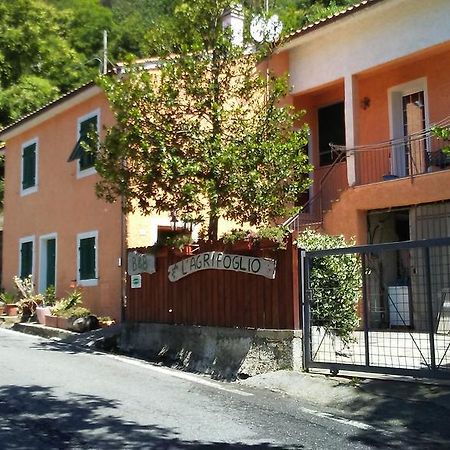 Bed and Breakfast Casa Vacanze L'Agrifoglio Magliolo Экстерьер фото